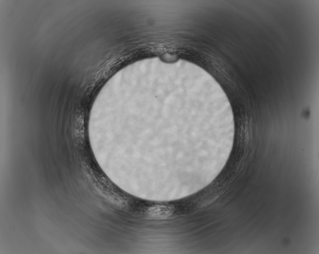 X0000115170700200912091024