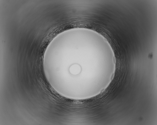 X0000115170701200912091024