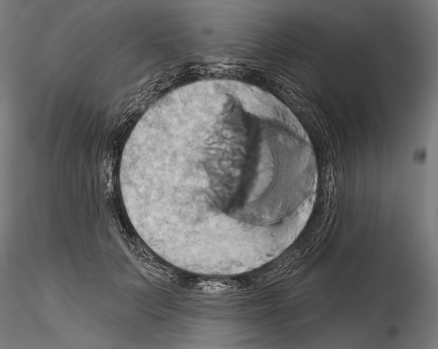 X0000115170703200912091024