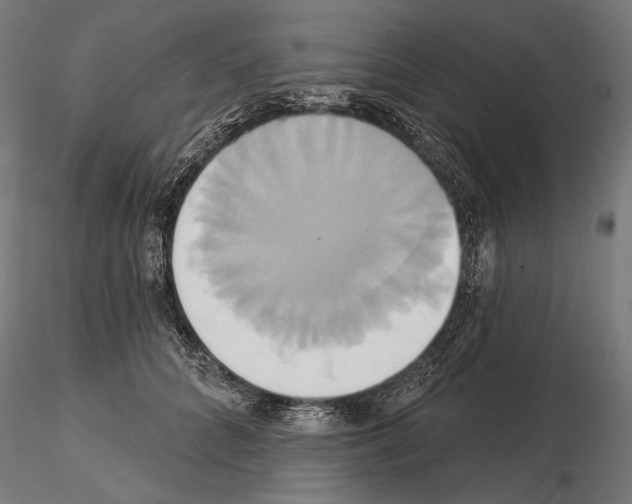 X0000115170704200912091024