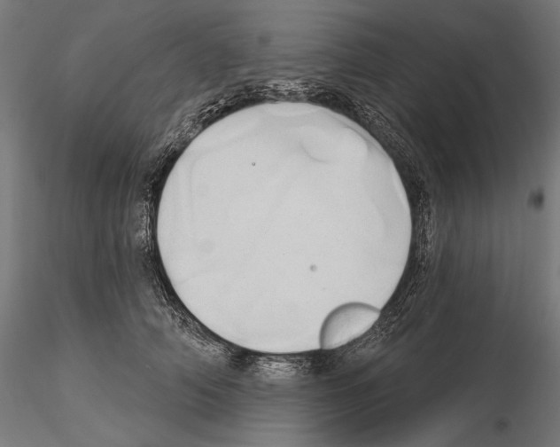 X0000115170706200912091024