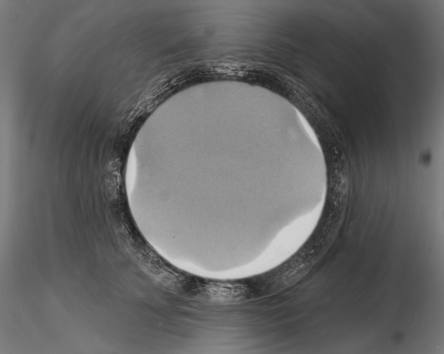 X0000115170707200912091024