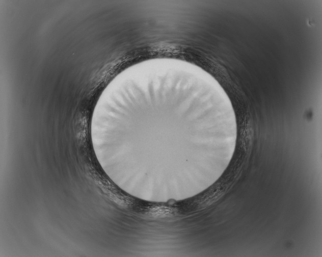 X0000115170708200912091024