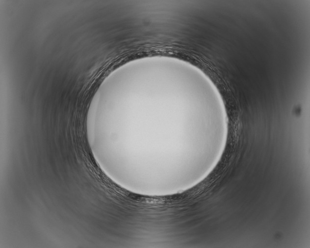 X0000115170709200912091024