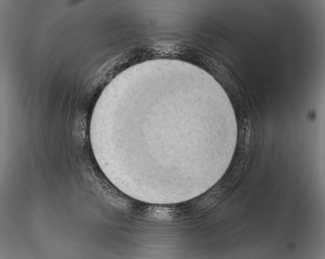 X0000115170710200912091024