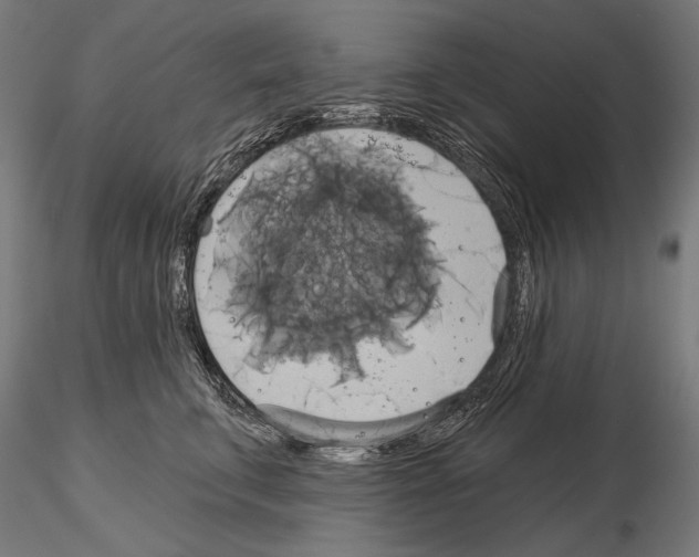 X0000115170711200912091024