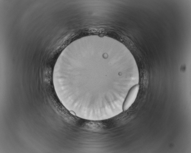 X0000115170712200912091024