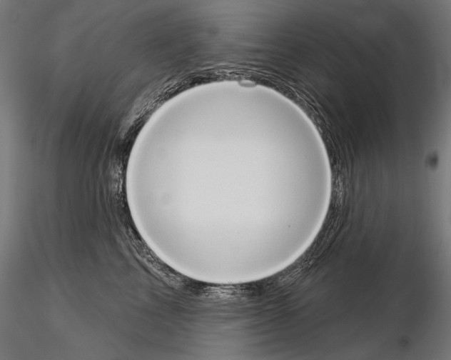 X0000115170713200912091024