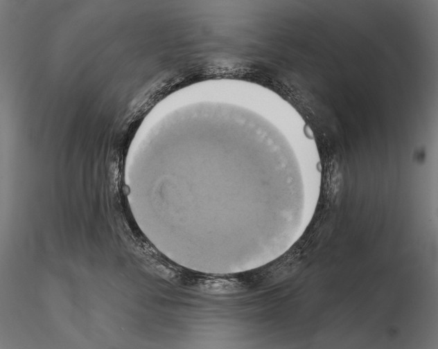 X0000115170716200912091024