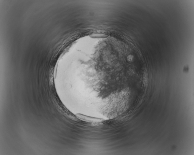 X0000115170719200912091023