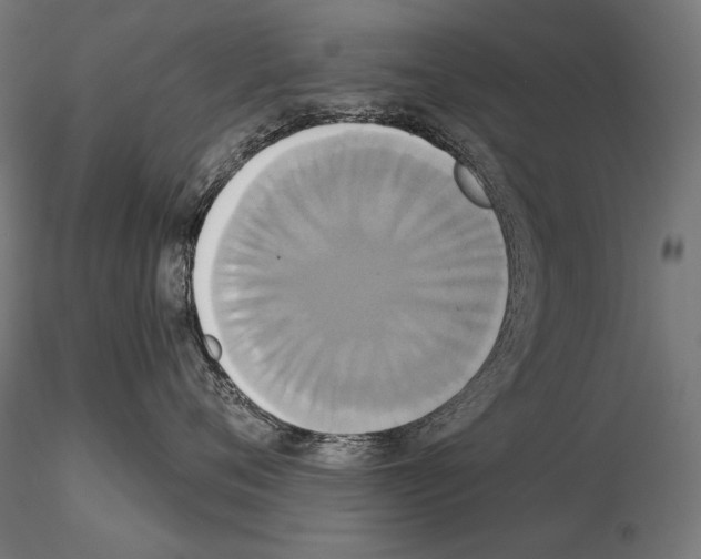 X0000115170720200912091023