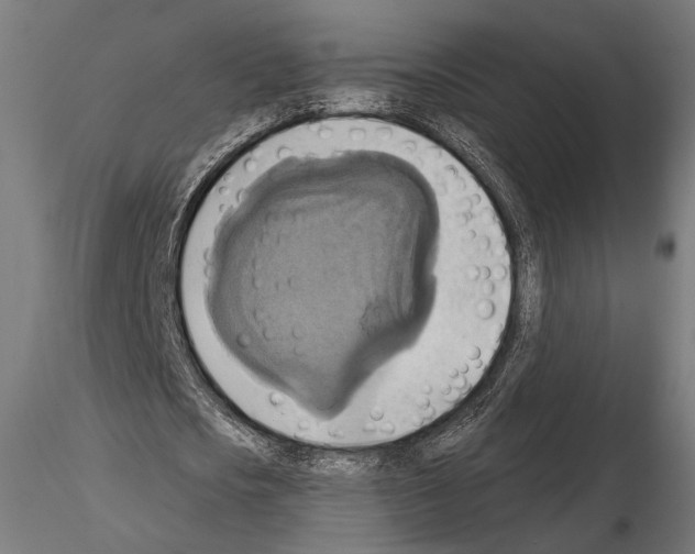 X0000115170721200912091023