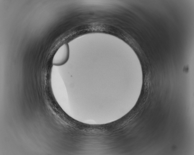 X0000115170722200912091023