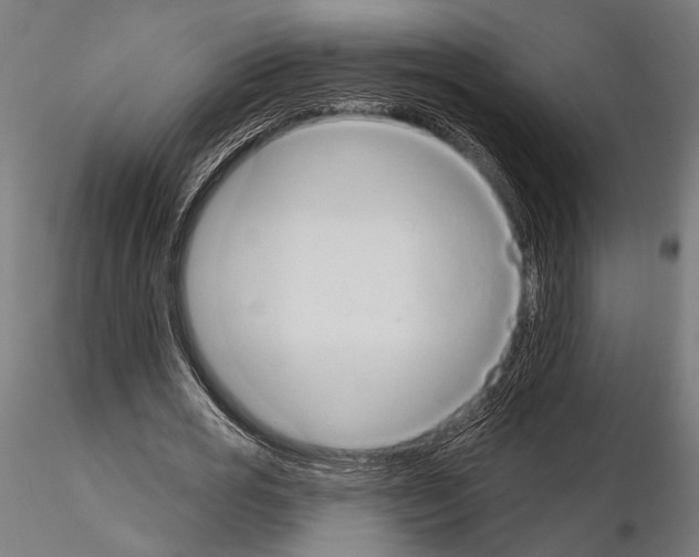 X0000115170725200912091023