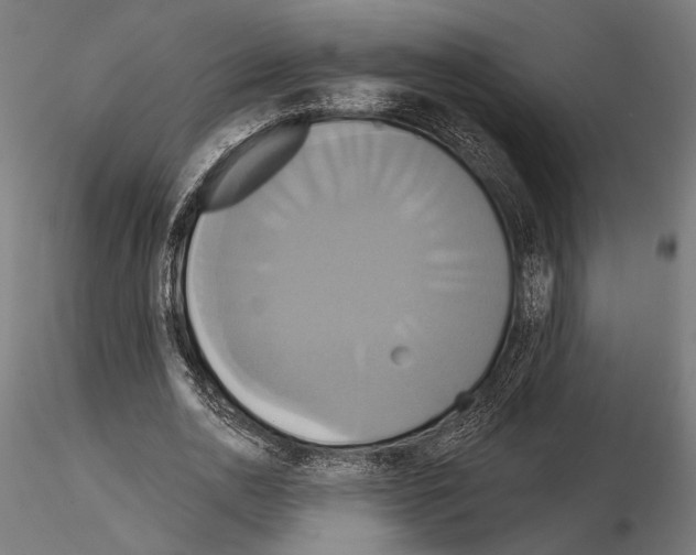 X0000115170726200912091023