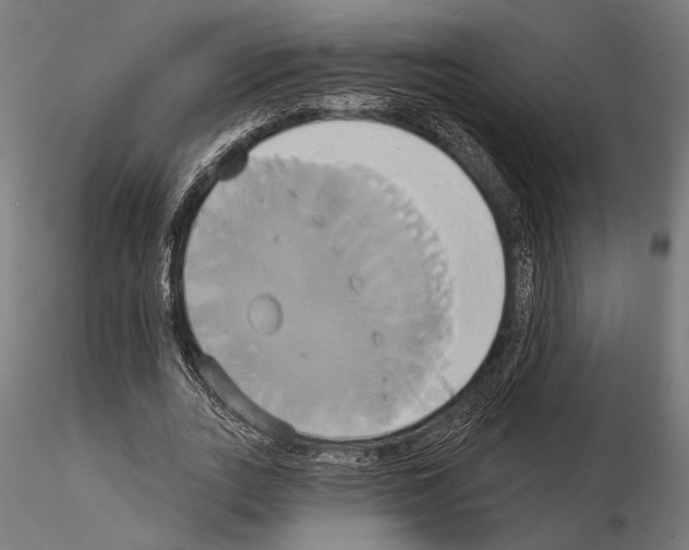 X0000115170727200912091023