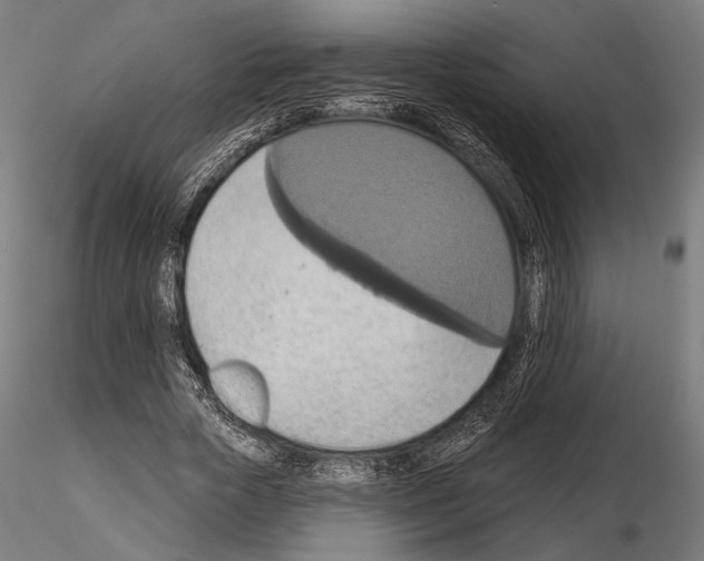 X0000115170729200912091023