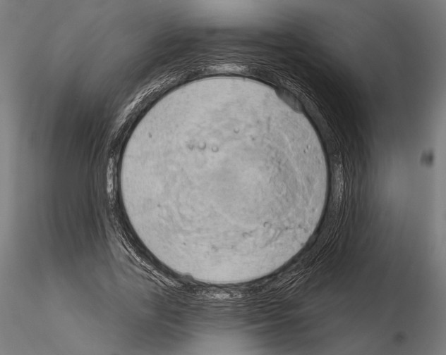 X0000115170731200912091023