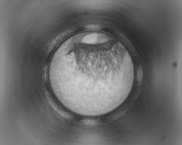 X0000115170733200912091023