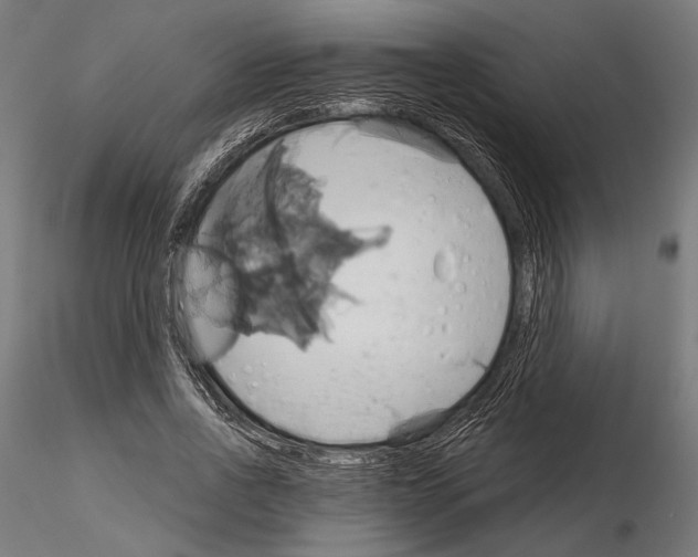 X0000115170734200912091023