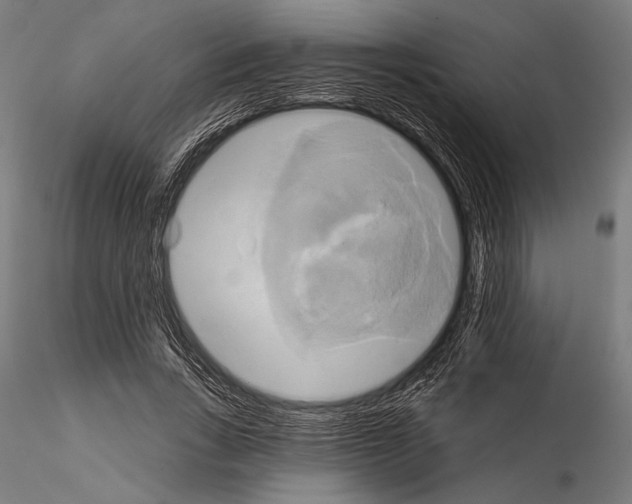 X0000115170735200912091023