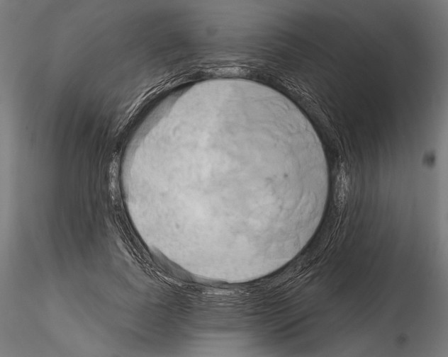 X0000115170739200912091023