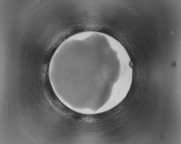 X0000115170742200912091023