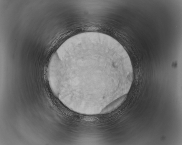 X0000115170743200912091023