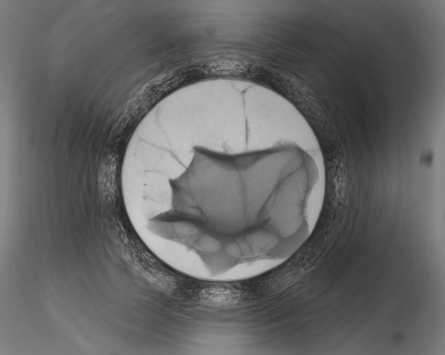 X0000115170745200912091023