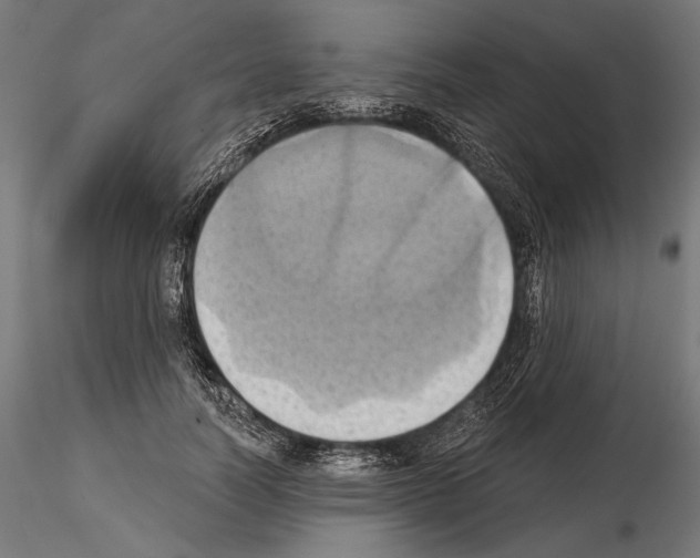 X0000115170746200912091023