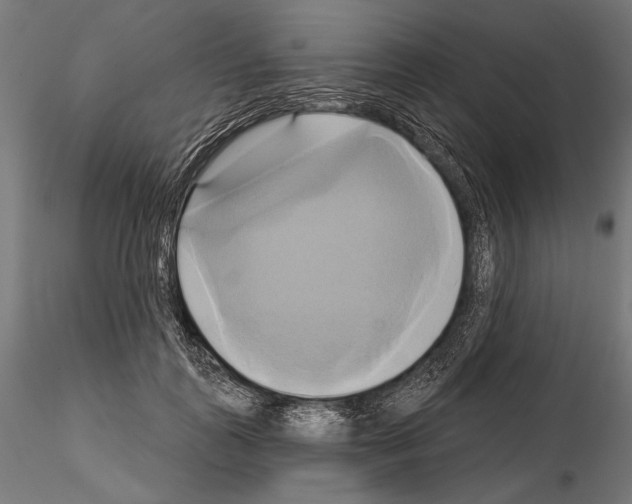 X0000115170747200912091023