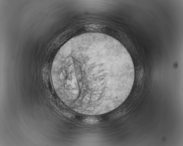 X0000115170749200912091023