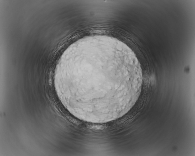 X0000115170751200912091023