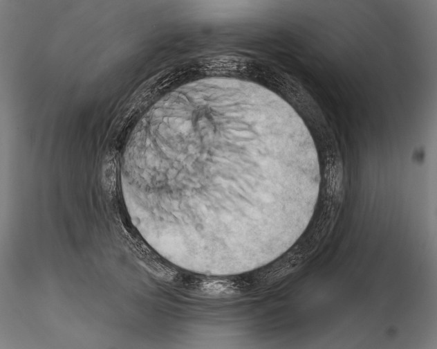 X0000115170753200912091023