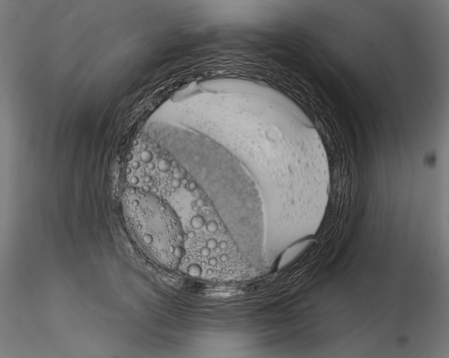 X0000115170754200912091023