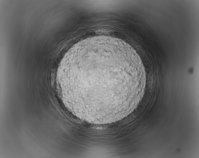 X0000115170755200912091023