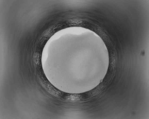 X0000115170758200912091023