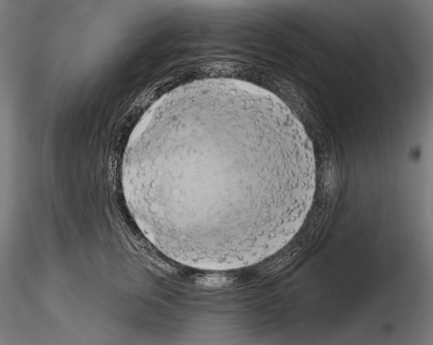 X0000115170759200912091023