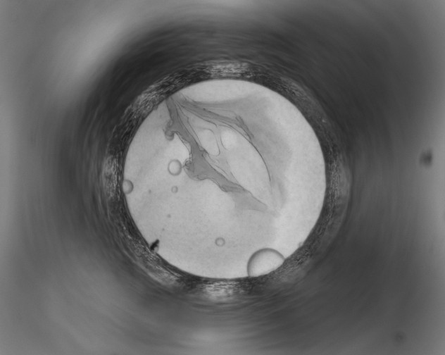 X0000115170761200912091023