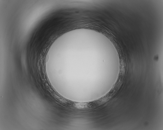 X0000115170762200912091023