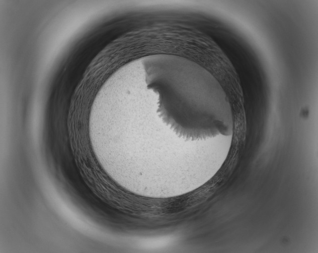 X0000115170765200912091023