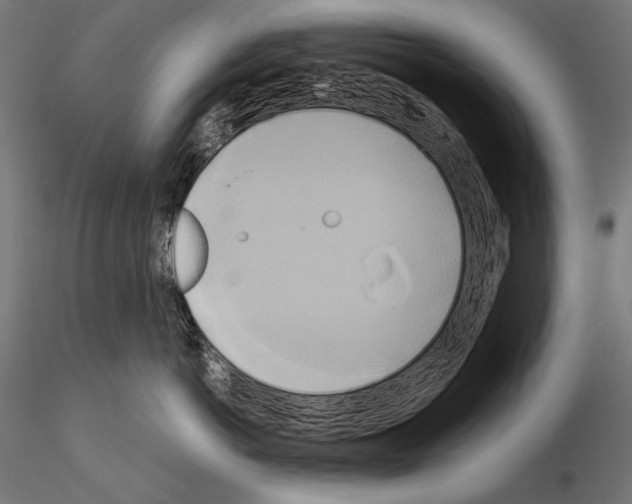 X0000115170766200912091023