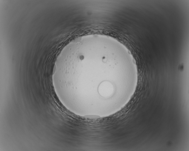 X0000115170769200912091023