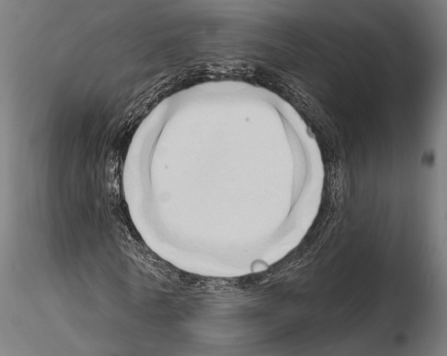 X0000115170770200912091023