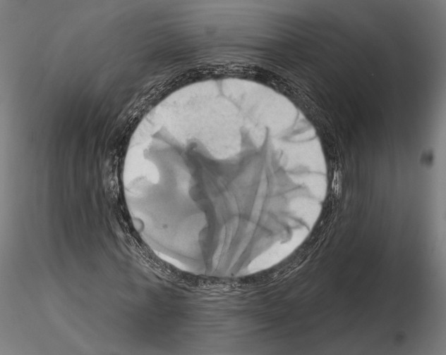 X0000115170771200912091023