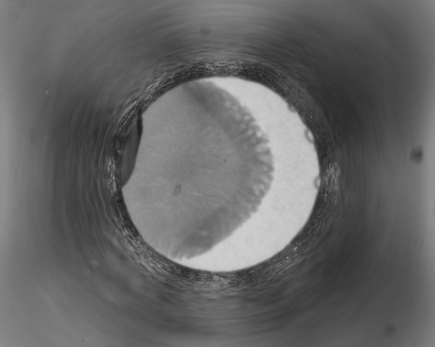 X0000115170772200912091023