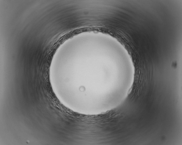 X0000115170773200912091022