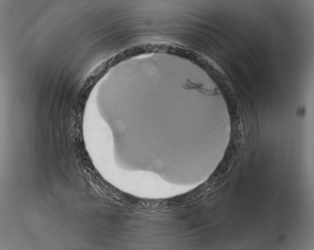 X0000115170775200912091022