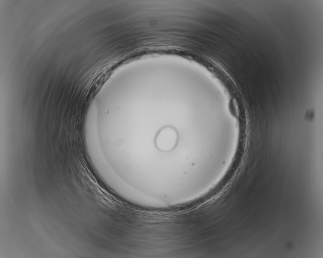 X0000115170777200912091022