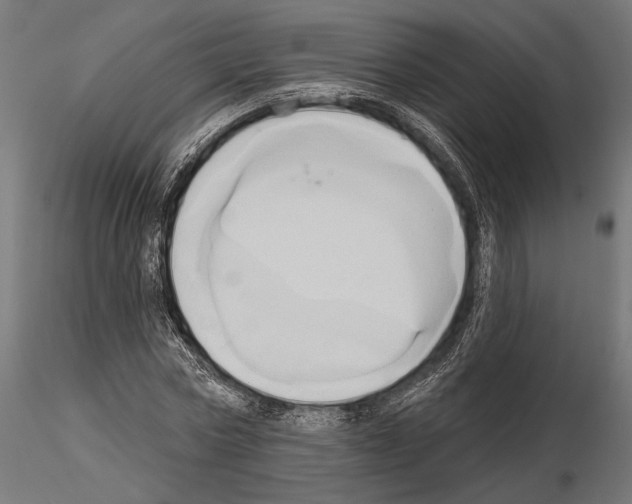 X0000115170778200912091022